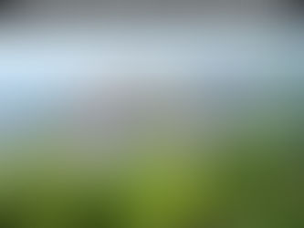 Apoya iniciativas de conservación de flora y fauna local: Participa en proyectos de conservación o realiza donaciones para proteger las especies en peligro en la Huasteca Potosina.