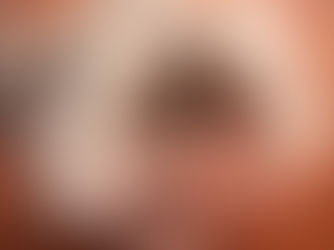 Corta el Pelo de tu Gato Solo si es Necesario: Cuándo y por Qué Consultar a un Veterinario Antes de Tomar Decisiones