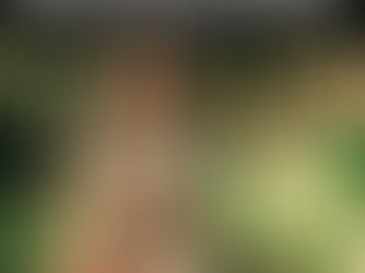 Disfruta del Contacto con la Naturaleza: Una Receta para Reducir el Estrés y Mejorar el Bienestar en la Huasteca Potosina