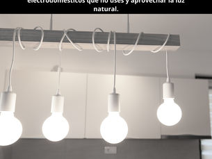 Ahorra en energía eléctrica: Adopta hábitos para reducir el consumo de electricidad, como usar bombillas LED, desconectar electrodomésticos que no uses y aprovechar la luz natural.