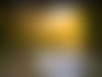 Protege las fuentes de agua locales: Mantén limpios ríos y arroyos. No arrojes basura ni productos químicos y participa en actividades de limpieza comunitaria para preservar el agua.