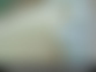 Instala un sistema de captación de agua de lluvia: Aprovecha cada gota. Un sistema de captación de agua de lluvia te permitirá recolectar agua para tareas de limpieza o riego.