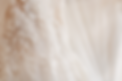 337731B7-2D87-4C47-AC17-2AA4921A996C.png