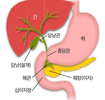 싱가포르에서 간담췌외과 분야에서 좋은 평가를 받는 병원