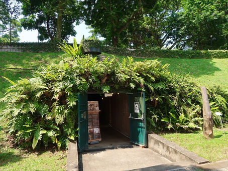 싱가포르의 땅굴