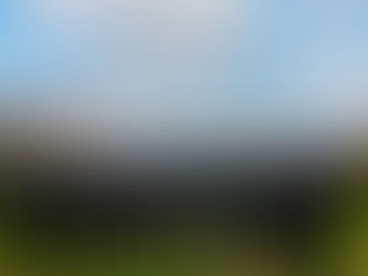 세븐틴의 유네스코 청년포럼 연설, 긍정적인 평가 이어져