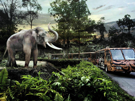 2024년 싱가포르 여행시 꼭 가봐야 할 여행지 - 9. 나이트사파리