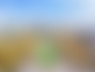 [한국의 상위 30개 대학교] - 12  /  인하대학교 (Inha University)