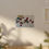 Thumbnail: Summer Strawberries - Poster