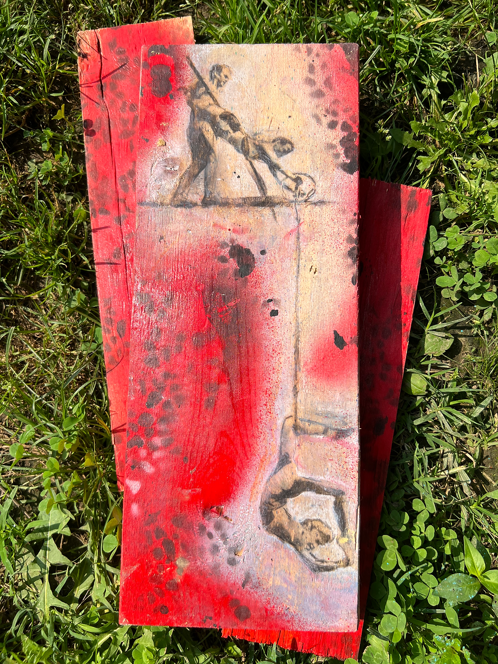 "Death Defying"  Mixed Media on Reclaimed Wood