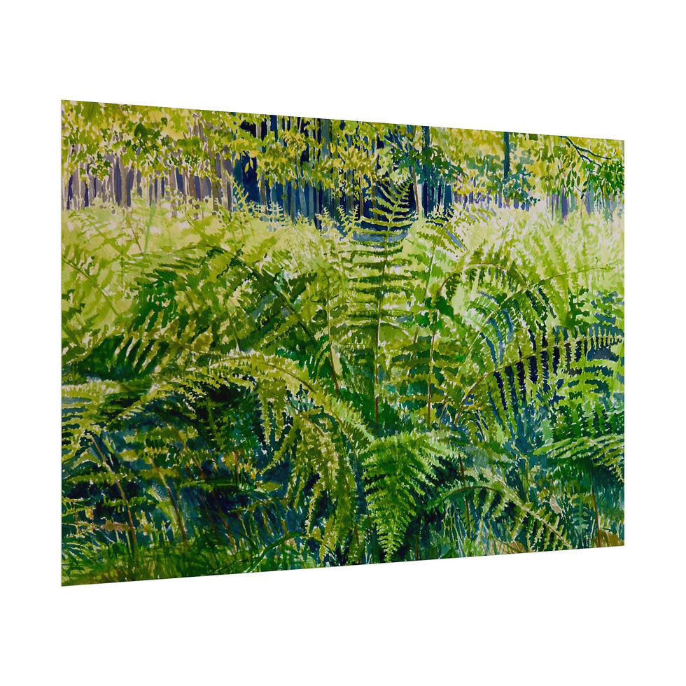 Thumbnail: Emerald Forest - Poster