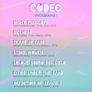 OFFICIAL SELECTION OF THE CODEC FILM FESTIVAL IN MEXICO!