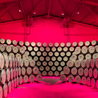 Leżakujące beczki rumu