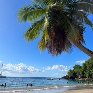 Anse Dufour 