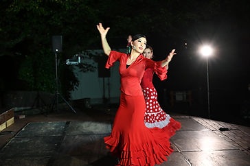 R4 ハレオ (73).JPG