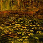 arthur schumaker ANOTHER_FALL_30x30_.jpeg
