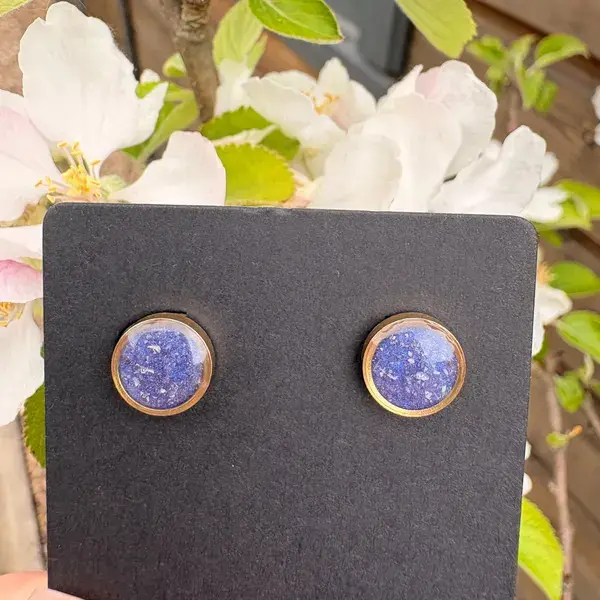Earrrings.webp