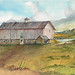 bill wardlow Barn and field.jpg