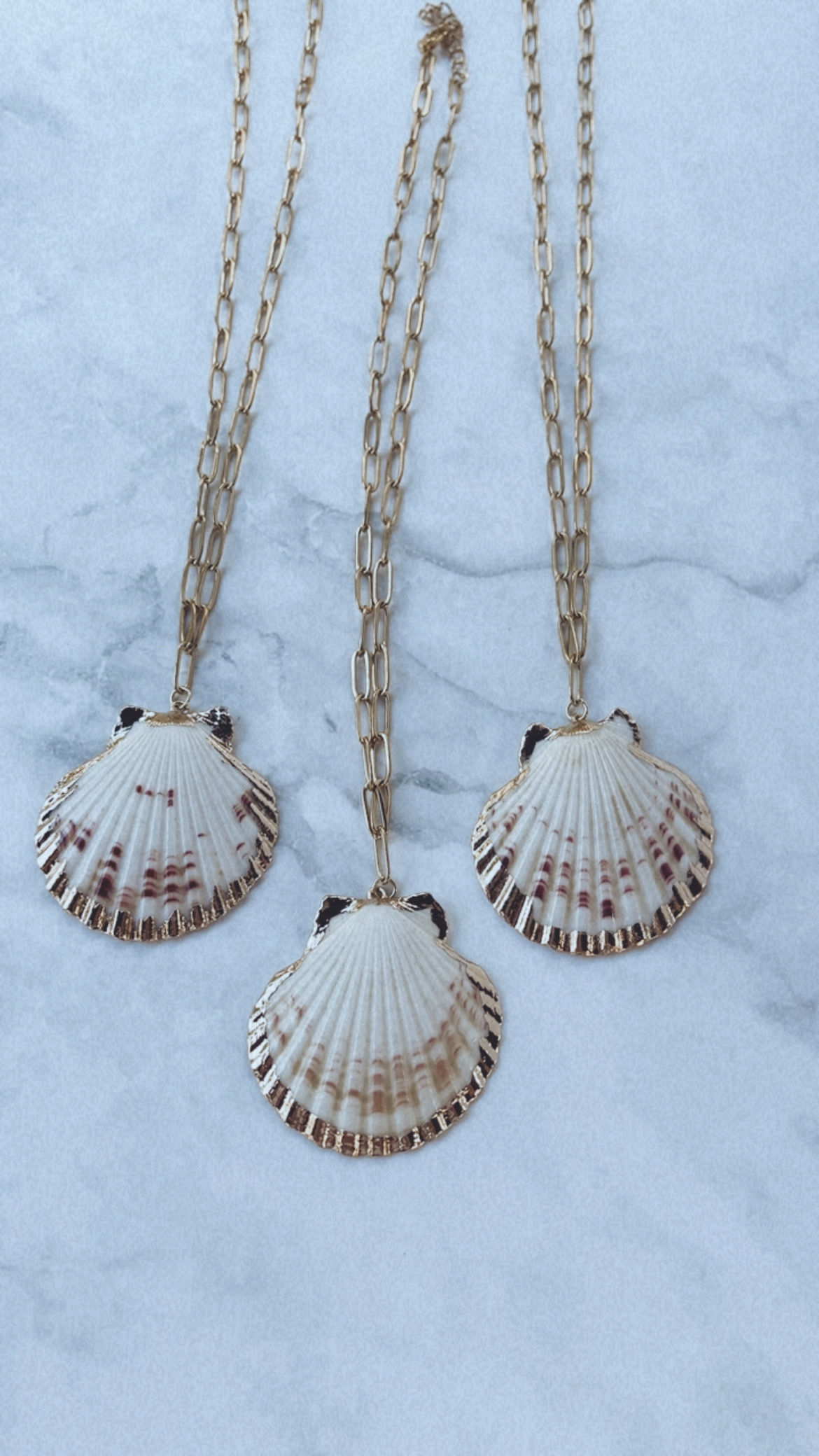 Natural Seashell Pendant