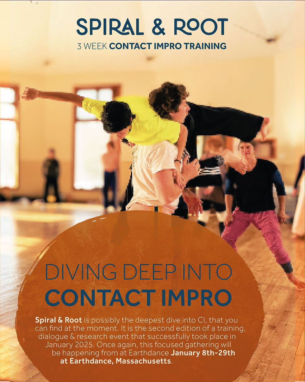 Spiral and Root Residencia C.I.