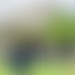 docomomo japan 選定プレートの贈呈式が行われました。