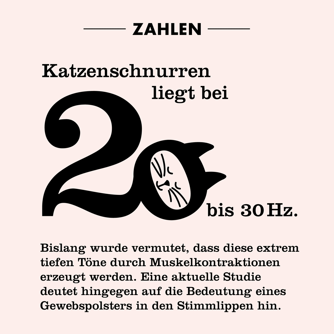 Zahlen.gif