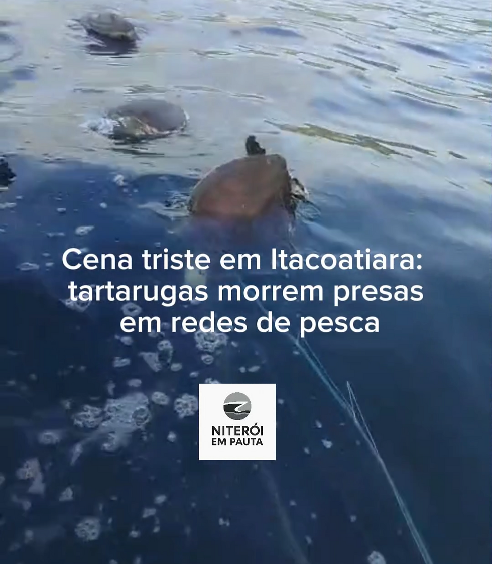 Cena triste registrada na manhã desta terça-feira em Itacoatiara.