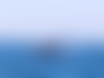 Niterói recebe a segunda temporada de observação de baleias