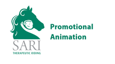 SARI Promotional Animation