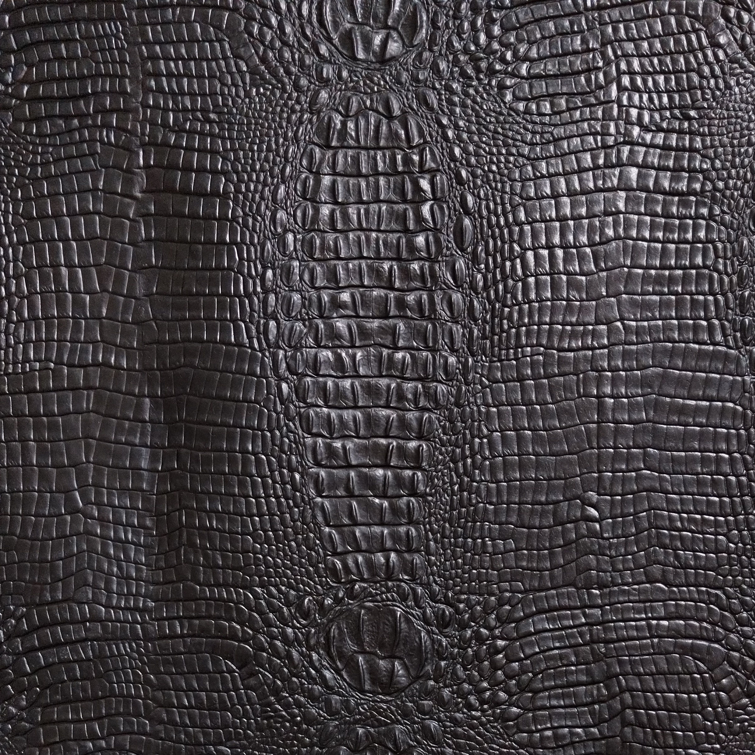 Black stiff crocodile embossed leather