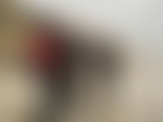 We Filmed with Fr. Donald Calloway!