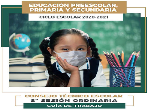 Forro CTE PPS 8s.001.jpeg