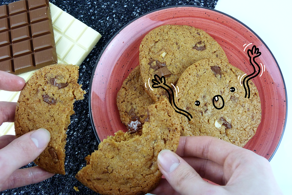 Galletas con chispas de tres chocolates + trucos