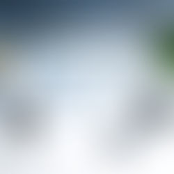 Is your business recession-proof? 