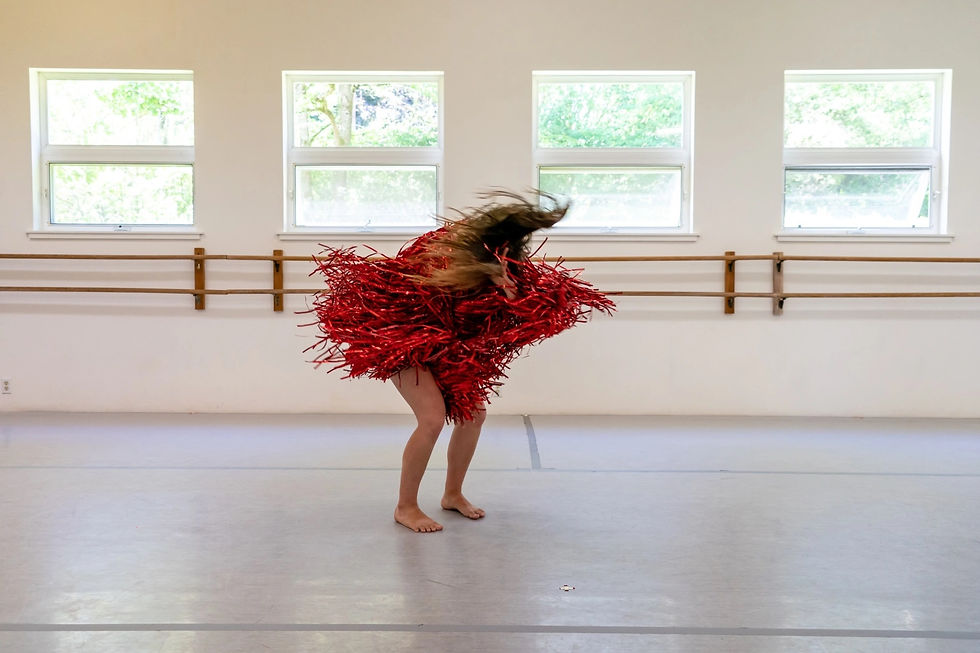 BJP vinegar spirit 2018 bainbridge dance center res Jazzy Photo 6.jpg