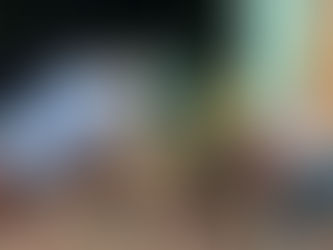 Pine Tree Gardens East and West