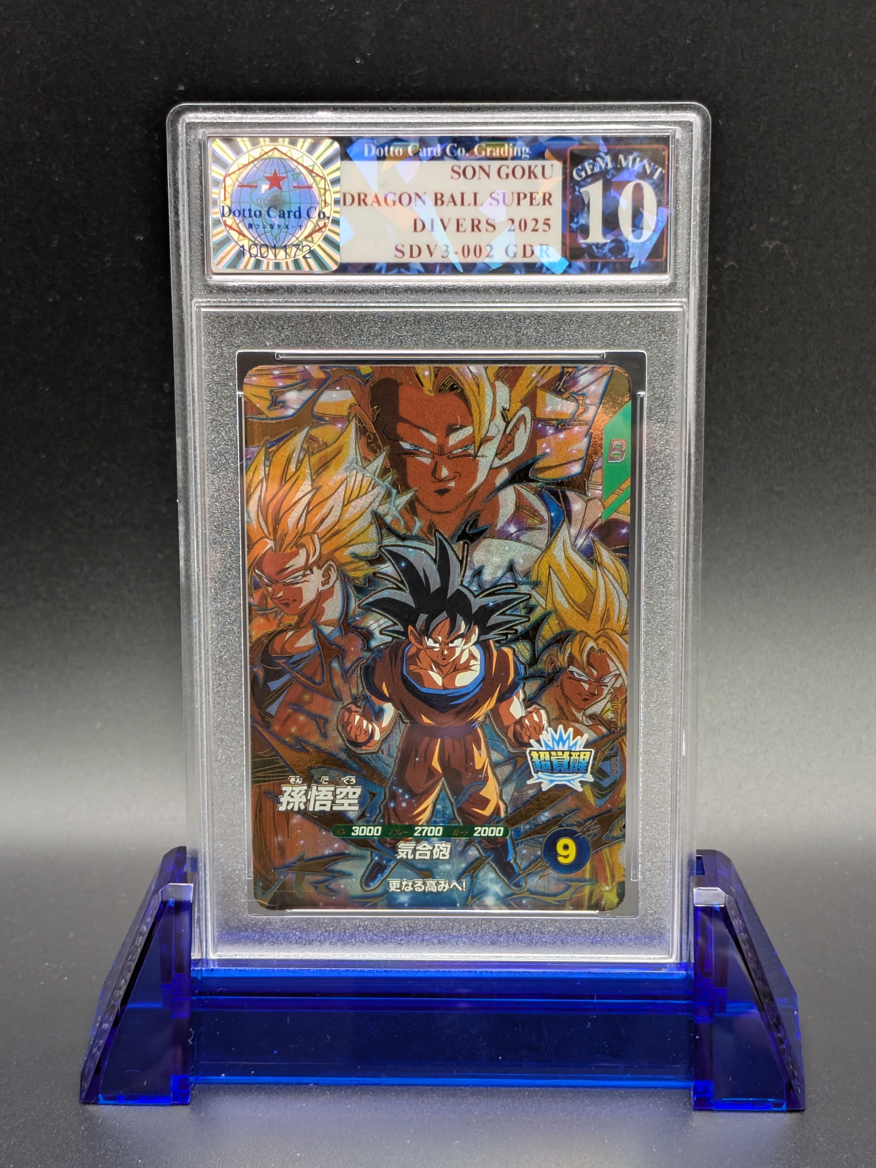 Son Goku — front