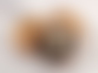 SKILL DRILL - Portobello Mushrooms