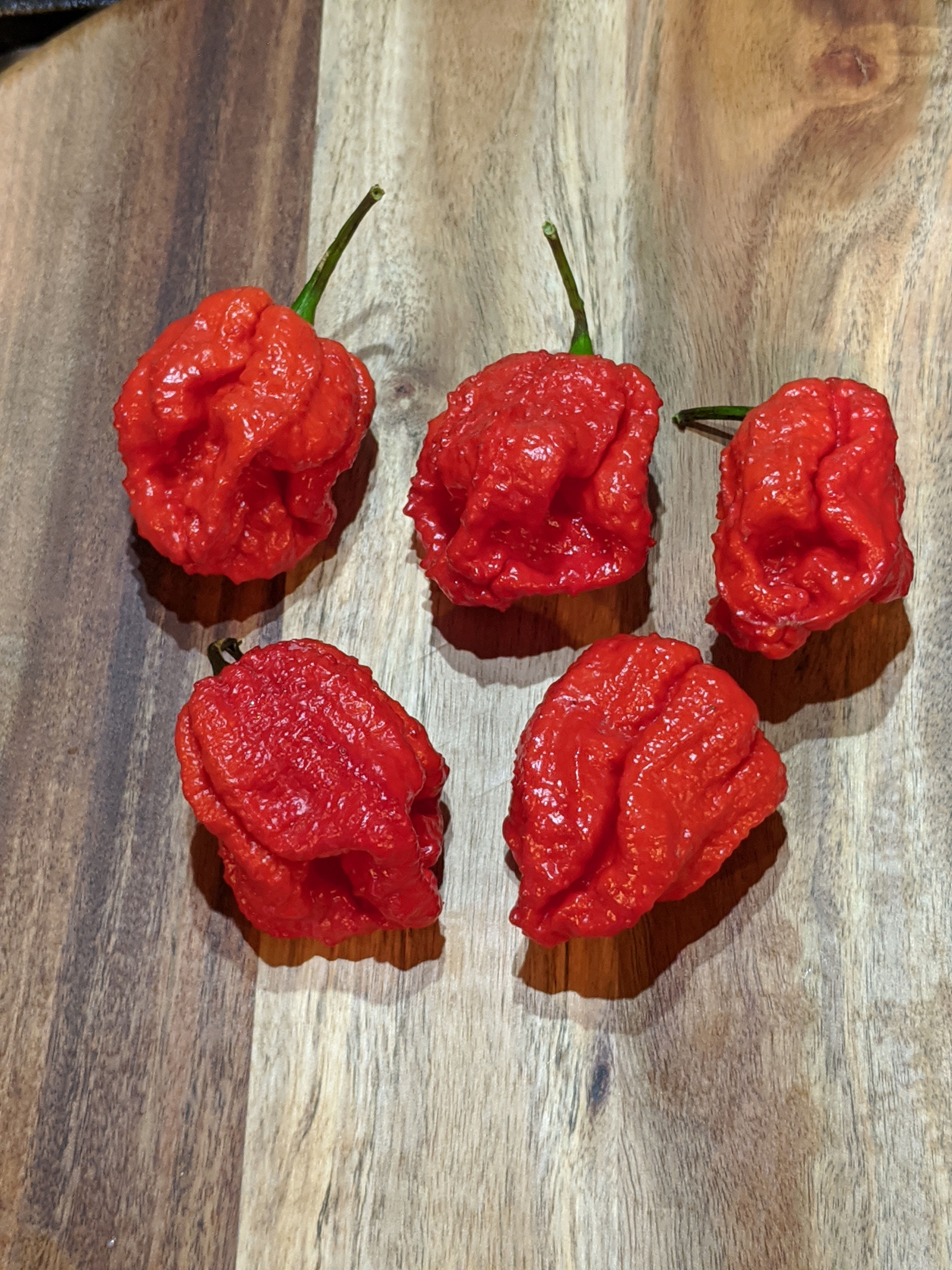 CAROLINA REAPER