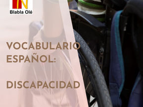 Vocabulario de la Discapacidad