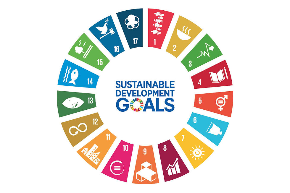SDG_Logo.jpg