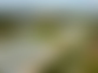 Huge Win For Clean Water!