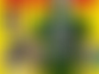 NEXT KANIKAPILA: Halloween special!