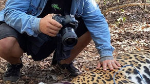 Fotógrafo André Bittar, do Instituto Reprocon, recebe Moção de Congratulação na Câmara Municipal