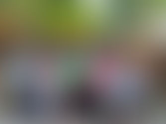 Resources for Families with Loved Ones with Disabilities