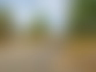 o mundo não para de interferir