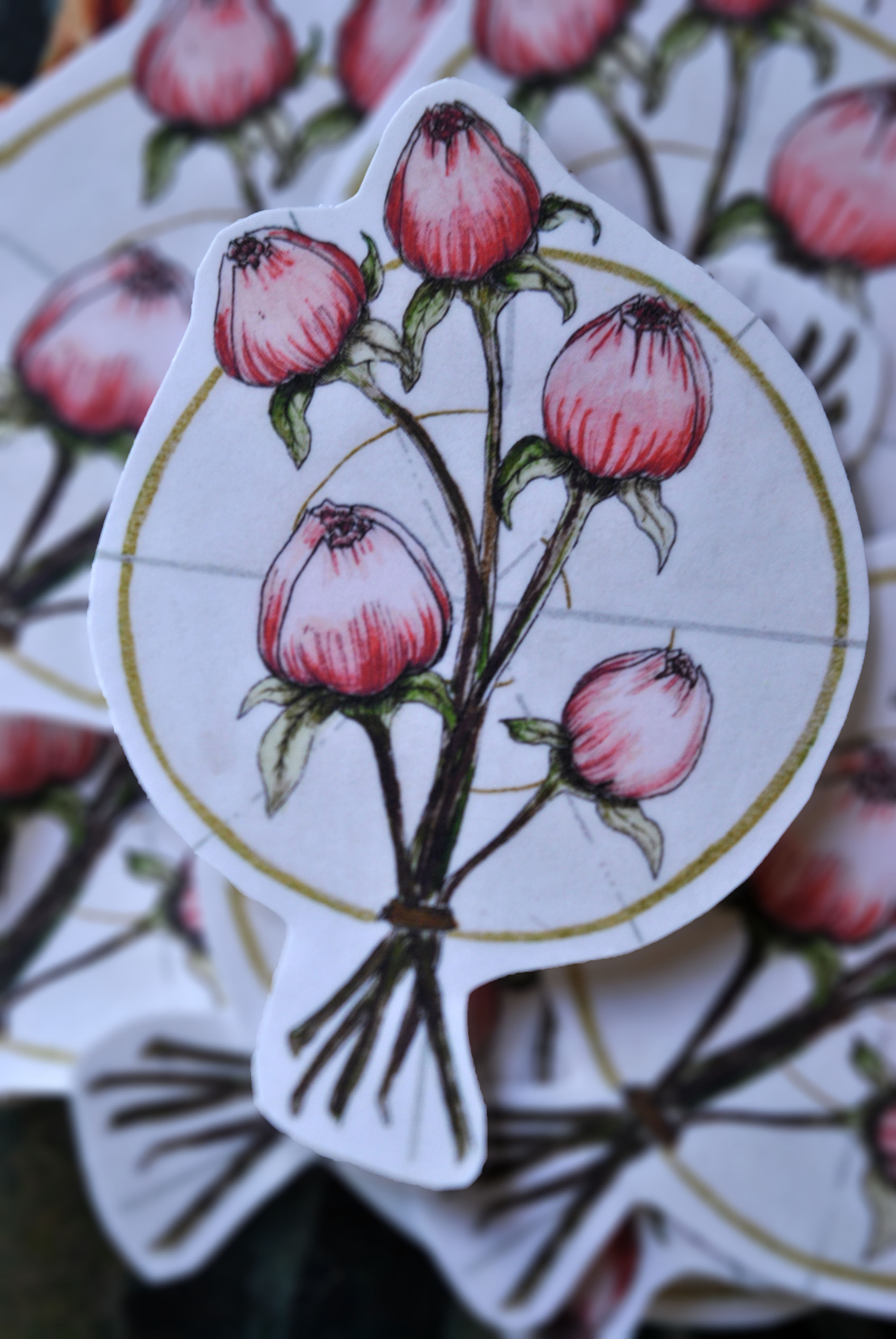 Peony Buds Sticker