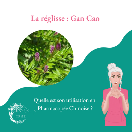 La réglisse en Pharmacopée Chinoise