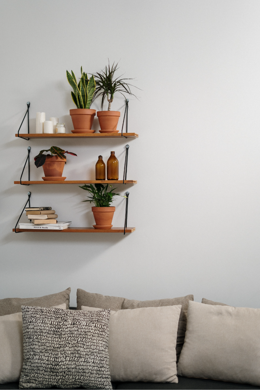 Wooden shelves with potted plants, candles, and bottles on a white wall above a gray couch with patterned and plain beige cushions.