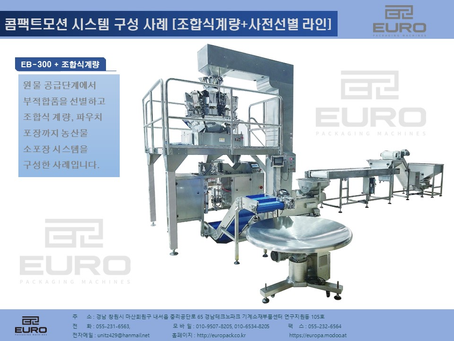 콤팩트 파우치 포장기 생산라인 구축사례